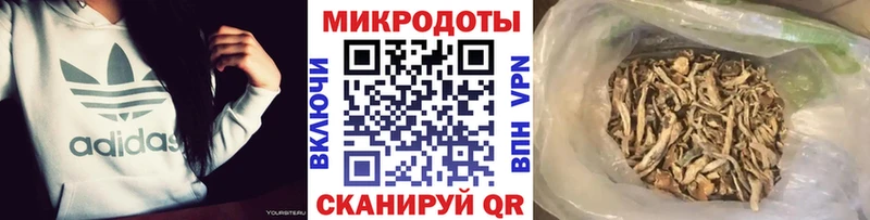 Псилоцибиновые грибы мицелий Миньяр